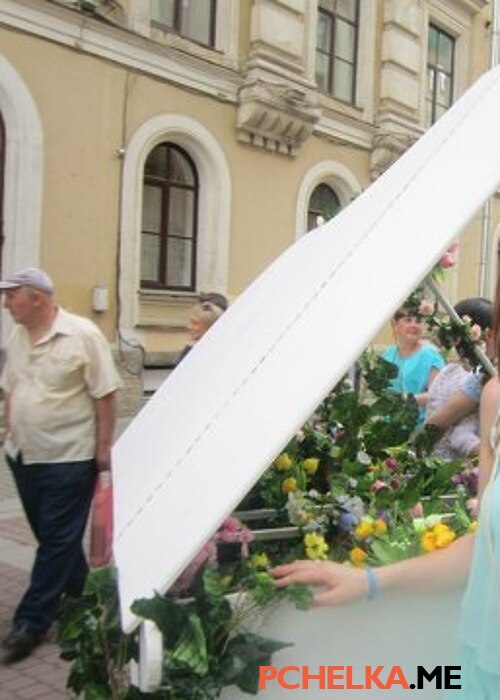 соня соня